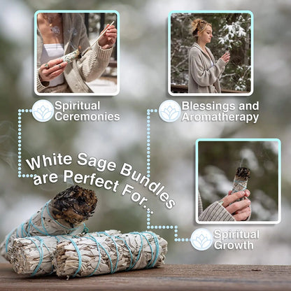 Organic White Sage